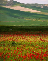 تفرجگاه شیلگان دره